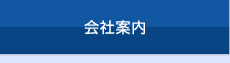 統計解析・論文作成代行・論文執筆代行のアミイ情報企画の会社案内